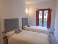 Luxury Apartments Seville Center 