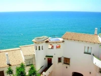 Gaviota Y Vora Mar 