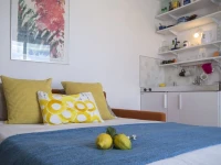 Olivia apartment 