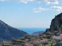El Almendro y la MontaГ±a 