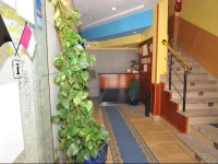 Hostal Boxes 