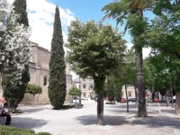 Apartamentos Sol de Mayo 