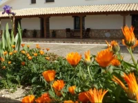 Los Laureles Casa Rural 