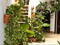 Apartmentos Molina 