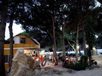Camping Vejer 