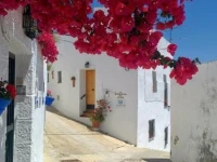 Holiday home La Atalaya de Vejer 