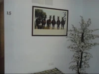 Hostal Paquito 
