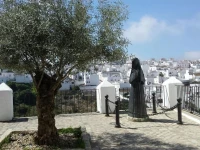 Puro Vejer 