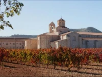 Hotel Castilla Termal Monasterio de Valbuena 