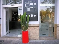 HolaHotel del Carmen 