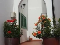 Casitas La Condesa 