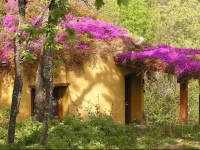 Apartamentos Rurales Ecopangea 