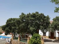 Casa Rural Cabeza Alta 
