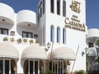 Hotel Terraza Carmona 3*