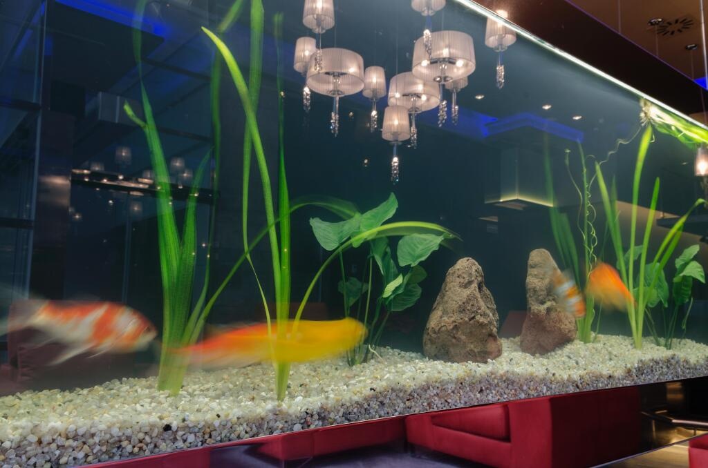 Agua de Mar Hotel Boutique 