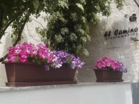 Apartamentos el Camino 