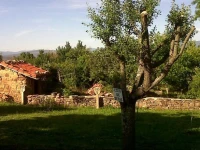 La Morera de Agustina 