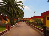 Bungalows Pascual 