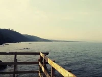 Stella di Aci 