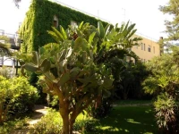 Hotel Eden Riviera 