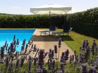 Agriturismo Il Morello 