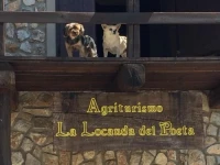 La Locanda Del Poeta 
