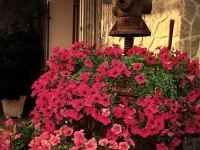 Agriturismo Nonno Tobia 