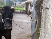 Agriturismo Sentiero Dei Sapori 
