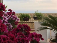 B&B Portatenea 