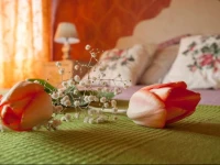 B&B Villa del Sole 