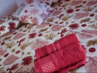 Brio Bed & Breakfast 