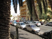 Il Mandorlo 