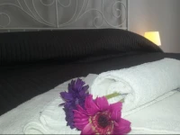 MirГІ Luxury Apartment 