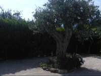 Affittacamere La Selva 