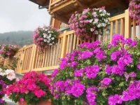 Gresil Residence 