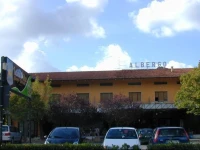 Leon DOro 