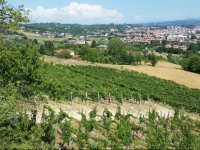 Tenuta Il Palazzo 