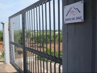 Monte del Sale 