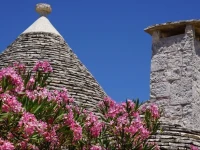 Trulli Holiday Resort 
