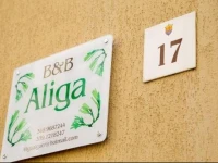 Aliga 