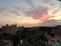 Amaranta 