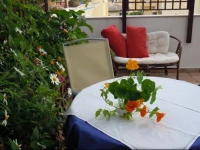 B&B Las Pluminas 