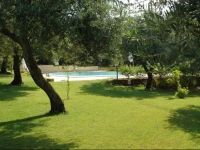 B&B Nidi Della Poiana 