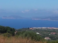 La Tartaruga 