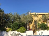 Salondra 