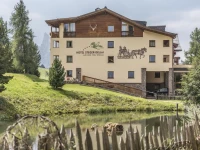 Hotel Steger-Dellai 