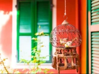 B&B Arcobaleno 