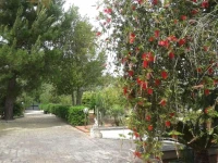 Tenuta Le Vermene 