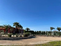 Villa Michela 