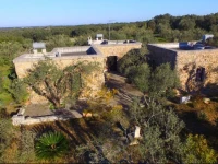 Tenuta Pagliarone 